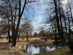 Prodej rodinného domu, Mišovice, 910 m2