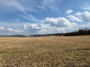 Prodej rodinného domu, Mišovice, 910 m2