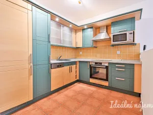 Pronájem bytu 1+kk, Brno - Staré Brno, Vodní, 60 m2