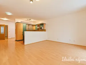 Pronájem bytu 1+kk, Brno - Staré Brno, Vodní, 60 m2