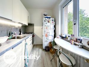 Pronájem bytu 3+1, Opava - Předměstí, Olomoucká, 64 m2