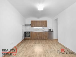 Pronájem rodinného domu, Pardubice - Zelené Předměstí, V Ráji, 41 m2