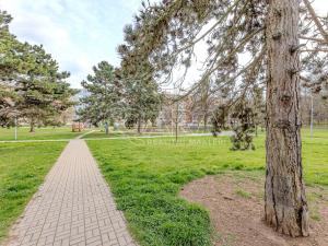 Prodej bytu 3+1, Praha - Prosek, Bílinská, 54 m2