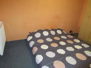 Prodej rodinného domu, Vodňany, Jiráskova, 221 m2