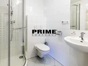 Pronájem bytu 4+kk, Praha - Vinohrady, Anny Letenské, 170 m2