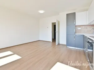 Pronájem bytu 1+kk, Brno - Židenice, Slatinská, 32 m2