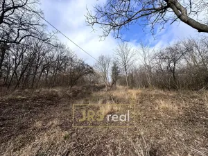 Prodej zahrady, Kroměříž - Zlámanka, 8821 m2