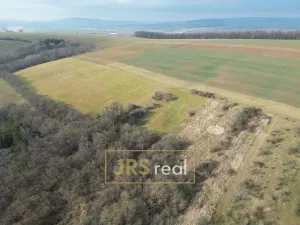 Prodej zahrady, Kroměříž - Zlámanka, 8821 m2
