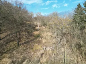 Prodej zahrady, Kroměříž - Zlámanka, 8821 m2