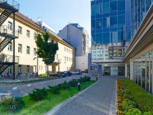 Pronájem kanceláře, Praha - Karlín, Sokolovská, 396 m2
