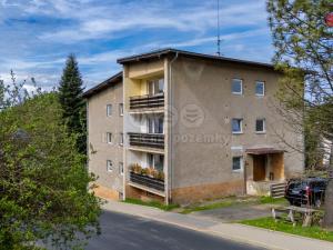Prodej bytu 1+kk, Dolní Poustevna, Vilémovská, 25 m2