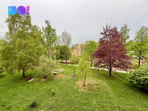 Pronájem bytu 1+1, Havířov, Karolíny Světlé, 36 m2