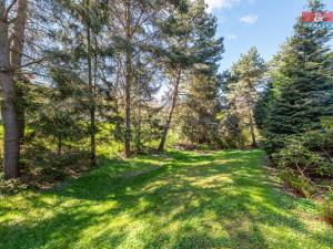 Prodej chaty, Kostelec nad Černými lesy - Kostelec nad Černými Lesy, 69 m2