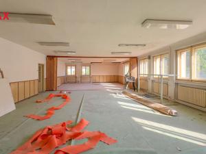 Prodej obchodního prostoru, Úpice, Dr. Teuchmanna, 1817 m2