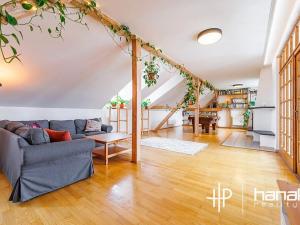 Prodej bytu 5+kk, Olomouc, Resslova, 250 m2