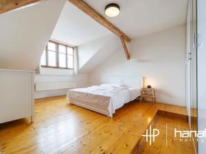 Prodej bytu 5+kk, Olomouc, Resslova, 250 m2