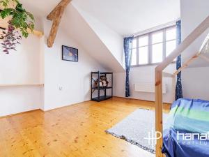 Prodej bytu 5+kk, Olomouc, Resslova, 250 m2