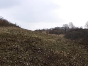 Dražba lesa, Ludkovice, 5834 m2
