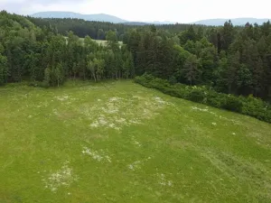 Dražba louky, Chotěvice, 8782 m2
