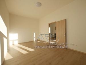 Pronájem bytu 3+kk, České Budějovice, Fráni Šrámka, 65 m2
