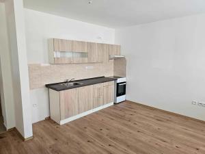 Pronájem bytu 1+kk, Chlumec nad Cidlinou, 35 m2