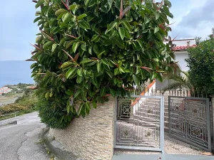 Prodej vily, Scalea, Itálie, 133 m2