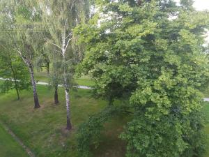 Pronájem bytu 1+1, Ostrava, Volgogradská, 37 m2
