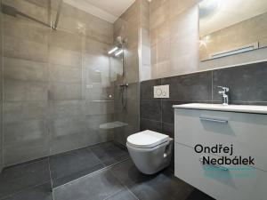 Prodej bytu 1+kk, Zlín, Kvítková, 33 m2