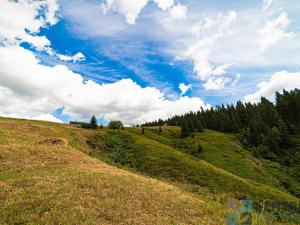 Prodej ubytování, Strážné, 1087 m2