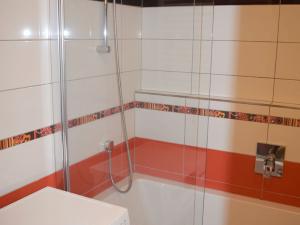 Pronájem bytu 2+1, České Budějovice - České Budějovice 7, Jánošíkova, 56 m2