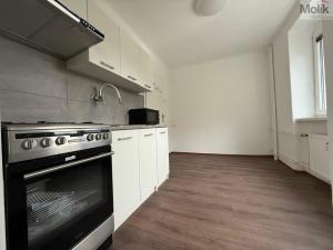 Pronájem bytu 3+1, Litvínov - Chudeřín, Horská, 58 m2