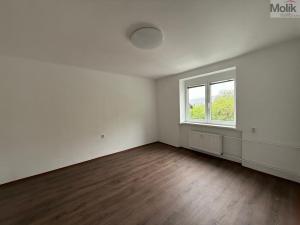 Pronájem bytu 3+1, Litvínov - Chudeřín, Horská, 58 m2