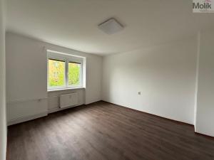 Pronájem bytu 3+1, Litvínov - Chudeřín, Horská, 58 m2