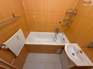 Pronájem bytu 3+1, Litvínov - Chudeřín, Horská, 58 m2