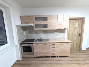 Pronájem bytu 2+kk, Ústí nad Labem, Mlýnská, 54 m2