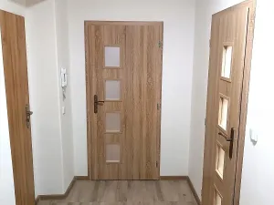 Pronájem bytu 2+kk, Ústí nad Labem, Mlýnská, 54 m2