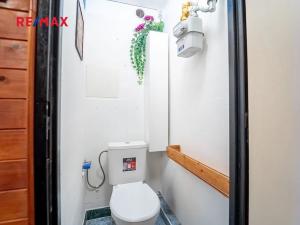 Pronájem bytu 1+1, Kolín, Tyršova, 36 m2