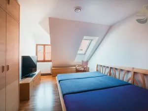 Prodej obchodního prostoru, Sušice, náměstí Svobody, 628 m2