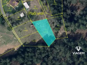 Prodej lesa, Kytlice, 690 m2