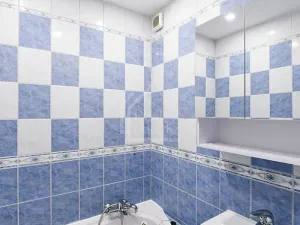 Pronájem bytu 2+1, Praha - Žižkov, Na vrcholu, 52 m2