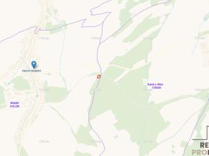 Prodej lesa, Holetín - Horní Holetín, 1313 m2