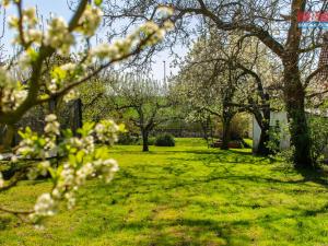 Prodej rodinného domu, Chlumčany, Svatopluka Čecha, 250 m2