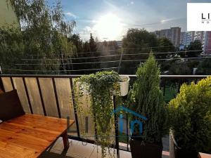 Pronájem bytu 3+1, Olomouc, Jeremiášova, 67 m2