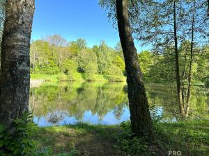 Prodej chaty, Libina, 74 m2