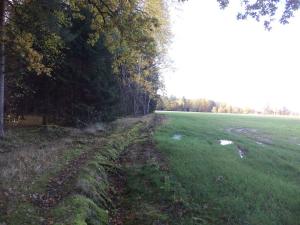 Prodej lesa, Římov - Dolní Stropnice, 32512 m2
