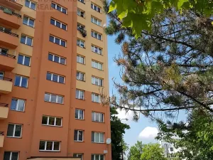 Pronájem bytu 3+1, Havířov, Kubelíkova, 73 m2