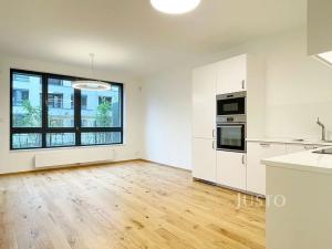 Pronájem bytu 2+kk, Praha - Vinohrady, Závišova, 57 m2
