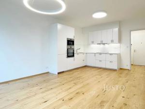 Pronájem bytu 2+kk, Praha - Vinohrady, Závišova, 57 m2