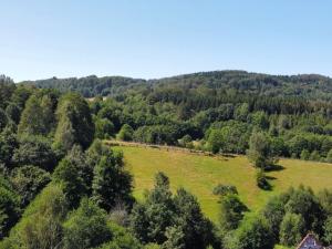 Prodej pozemku pro bydlení, Olešnice v Orlických horách, 4823 m2