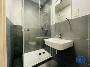 Pronájem bytu 2+kk, Plzeň - Jižní Předměstí, Kotkova, 54 m2